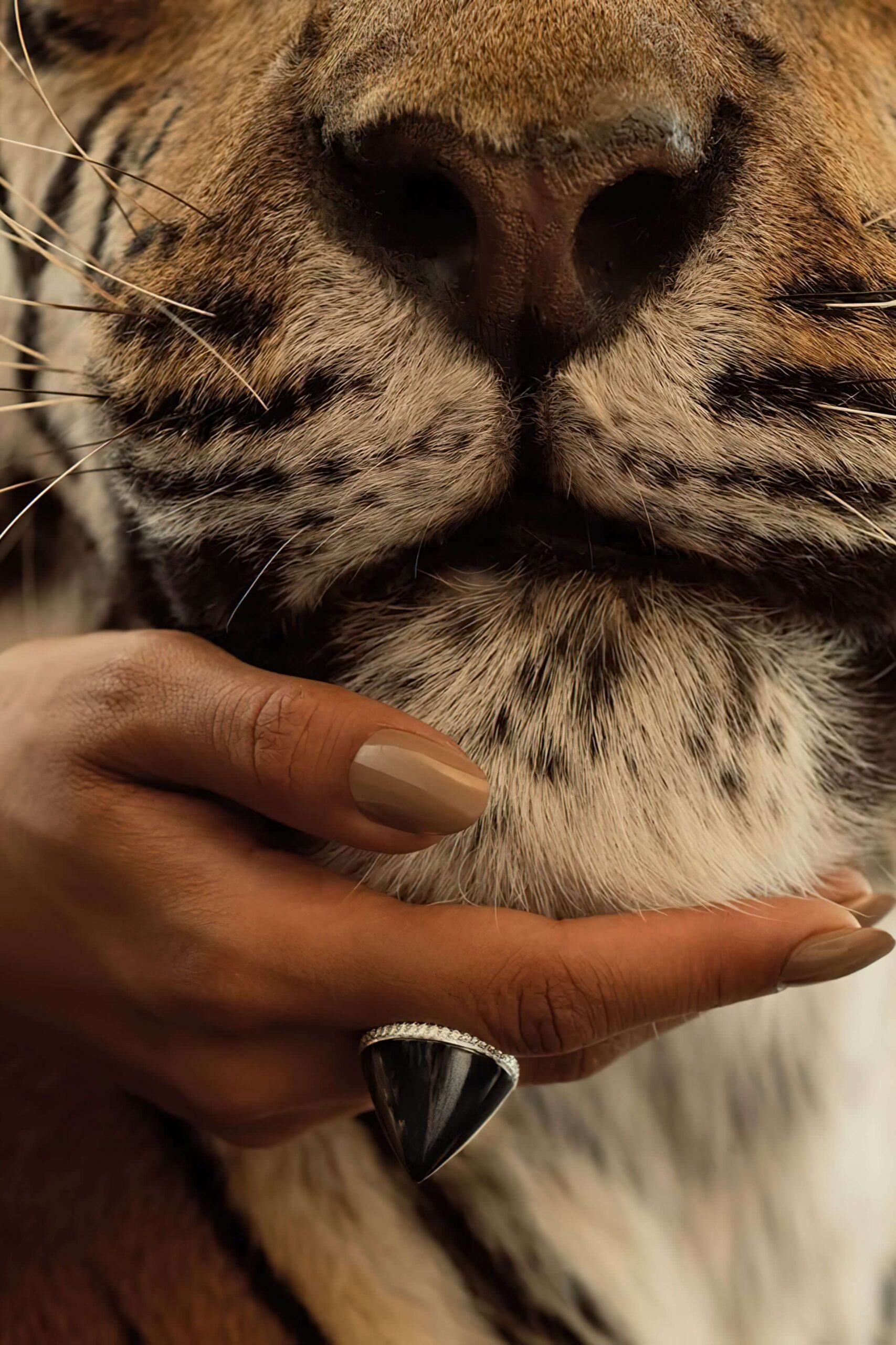 emotional resonance in luxury branding
